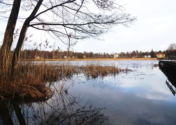 Bild från Osby